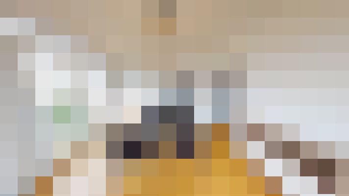  / #15