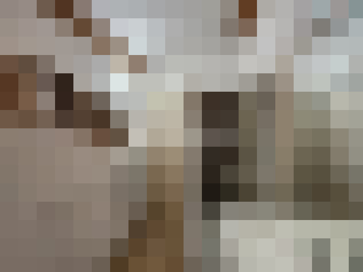  / #14