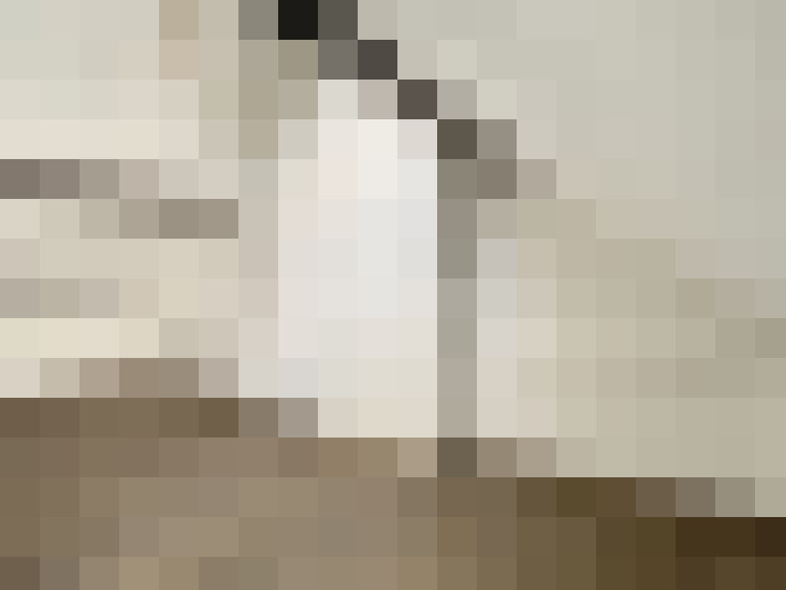  / #7