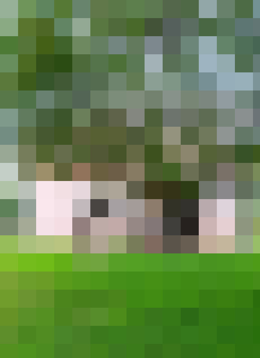  / #11