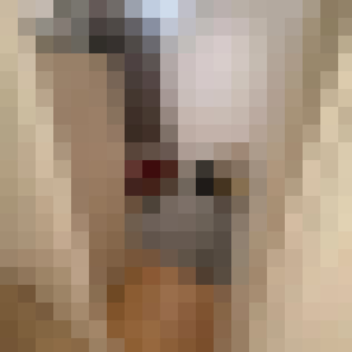  / #8