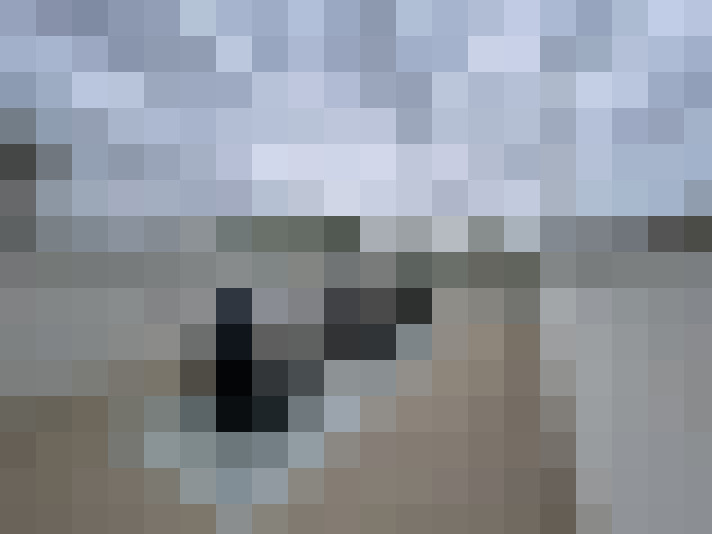  / #15