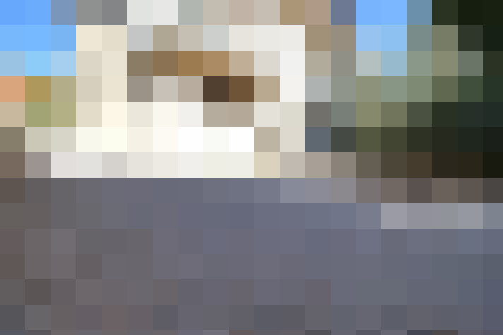  / #8