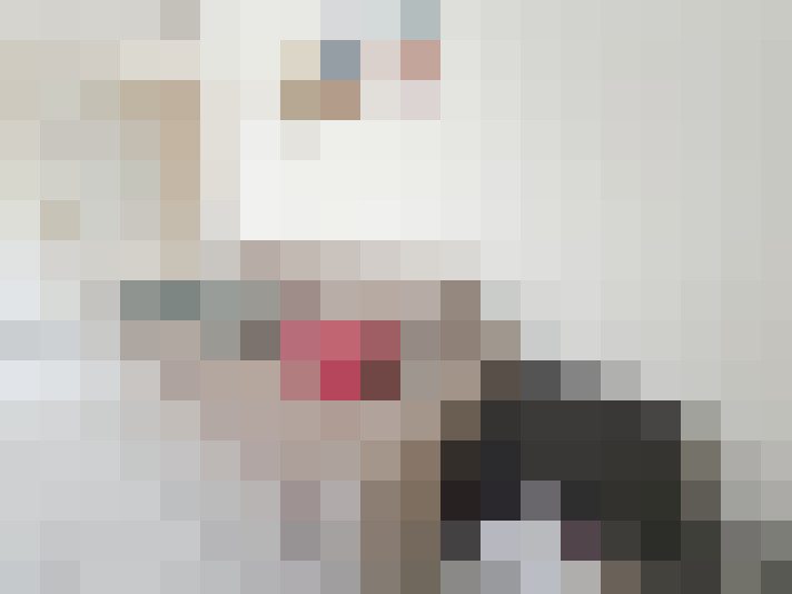  / #13
