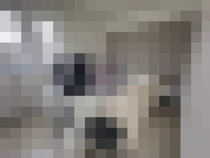  / #9