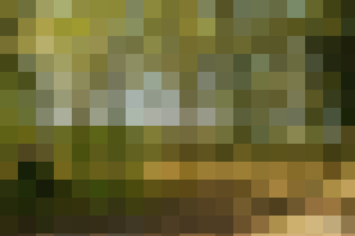  / #18