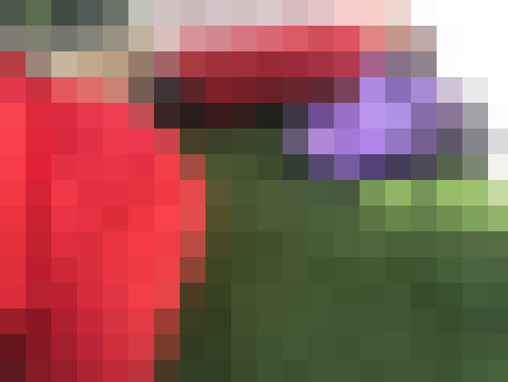  / #8