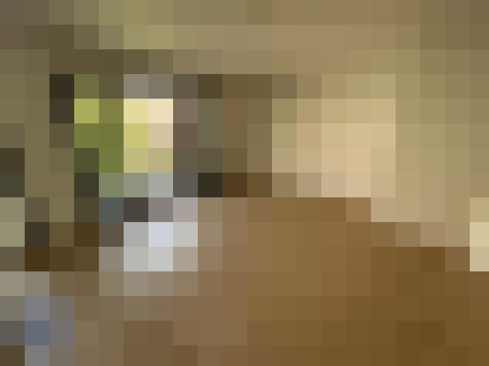  / #8