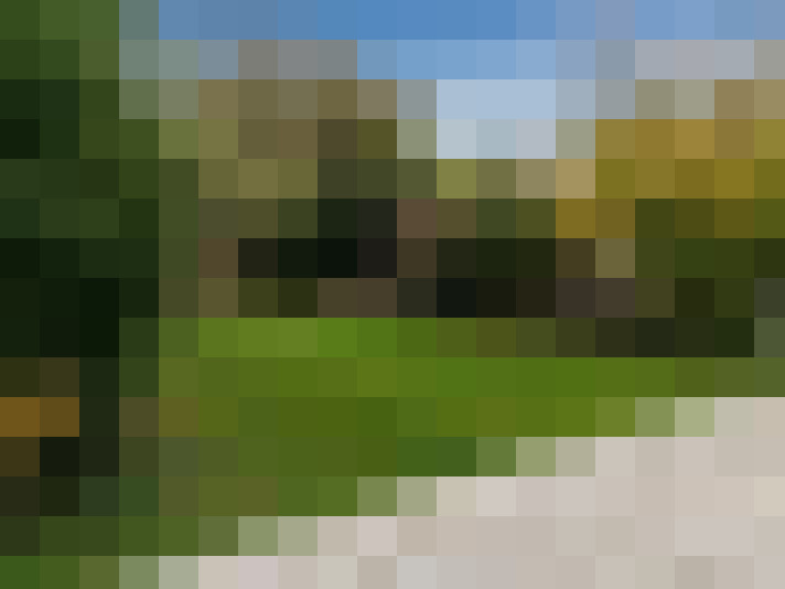  / #15