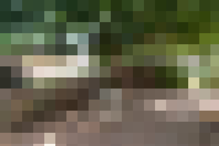  / #3
