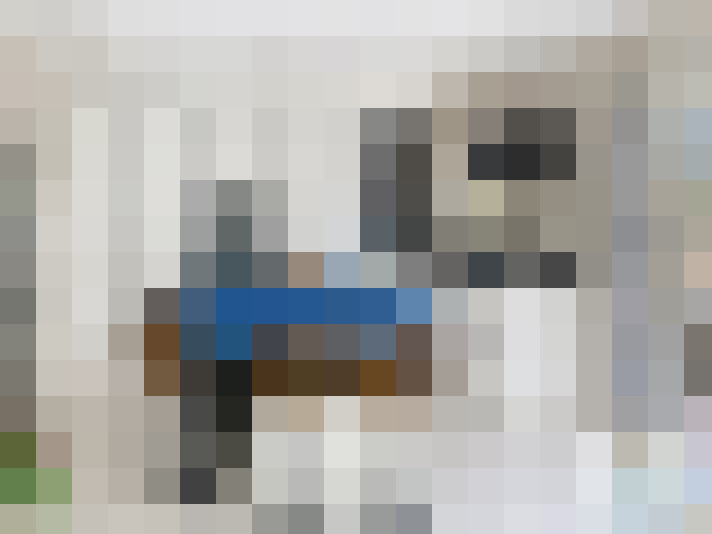  / #13