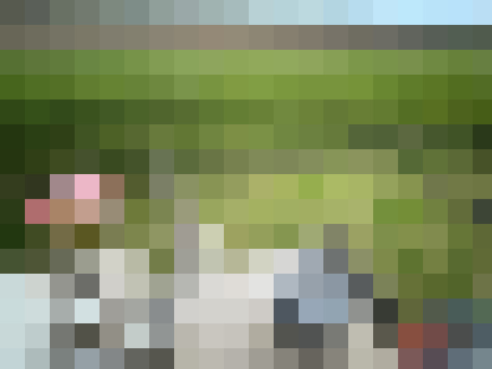  / #15