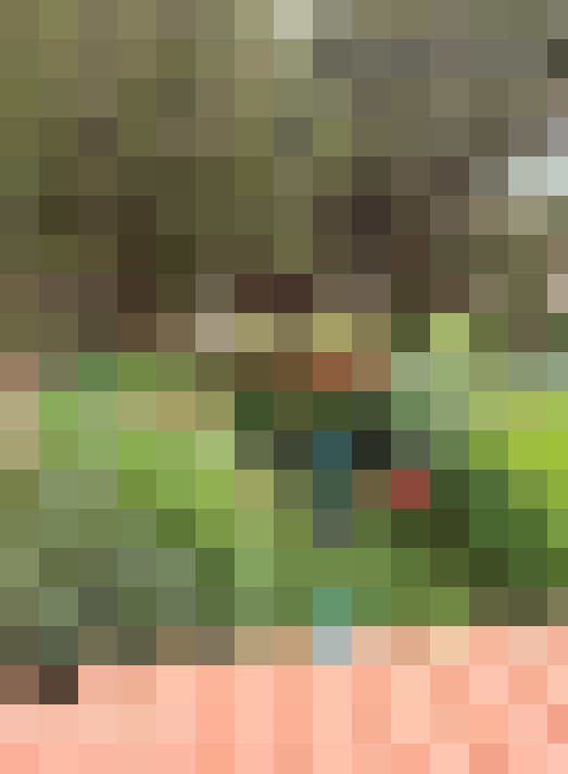  / #3