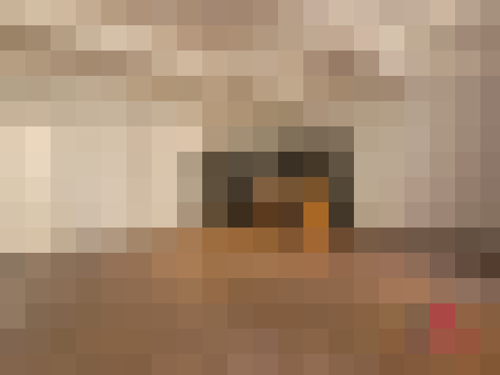  / #6