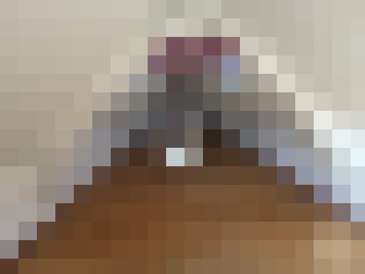  / #11