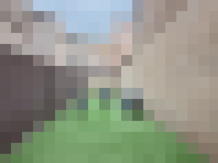  / #6