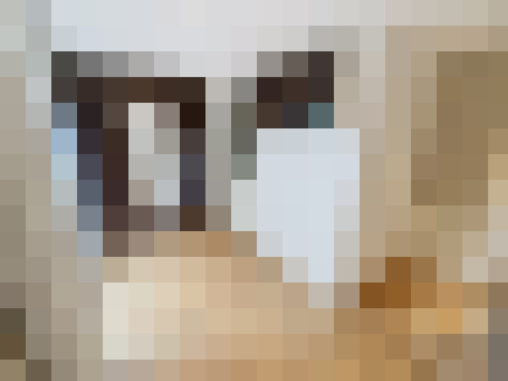  / #14
