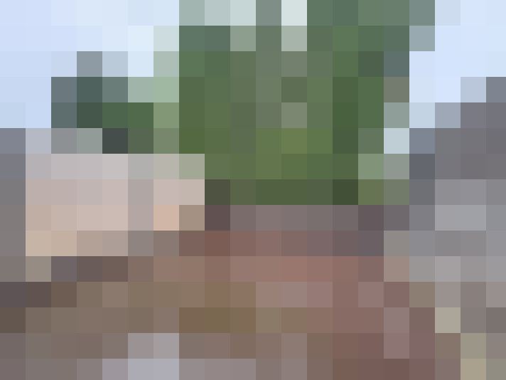  / #16