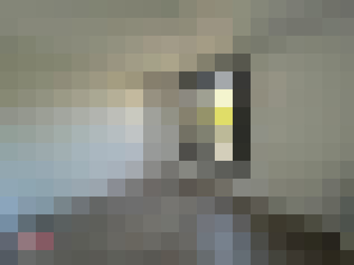  / #15