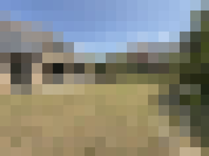  / #18