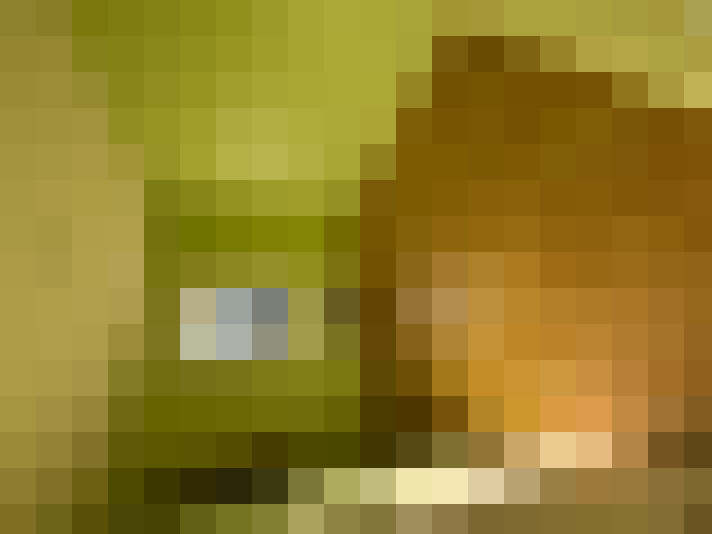  / #7