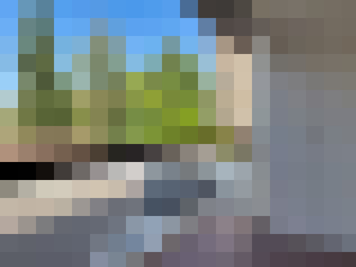  / #8