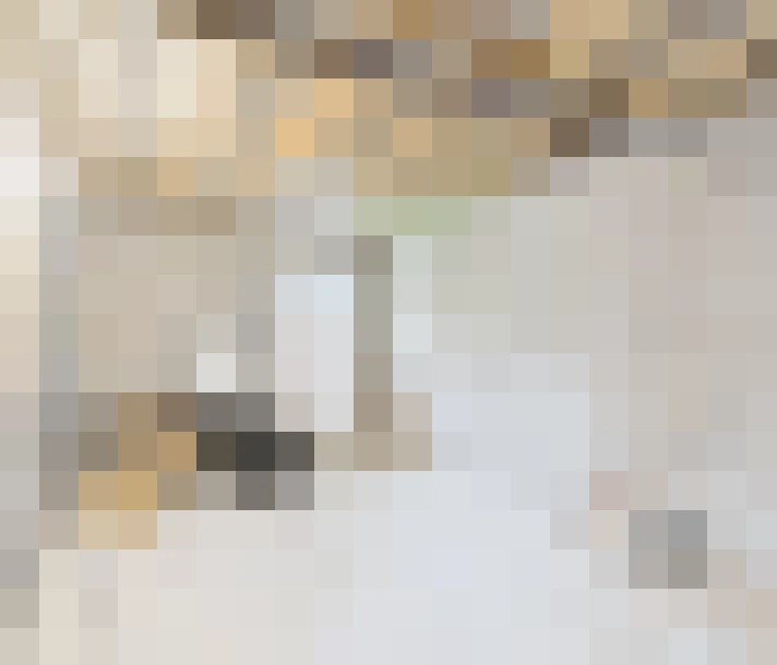 / #14