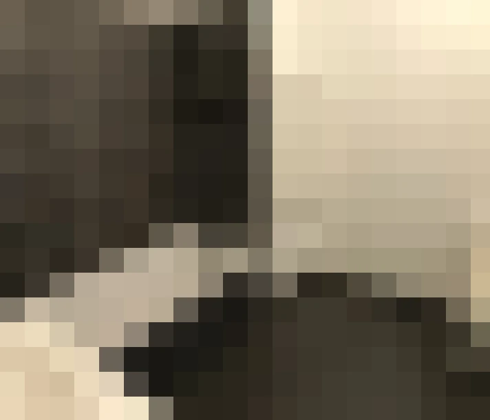  / #13