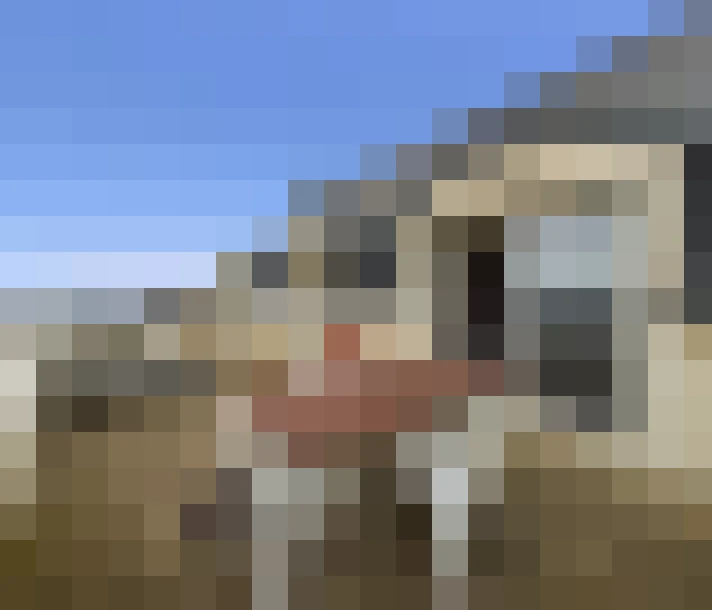  / #8