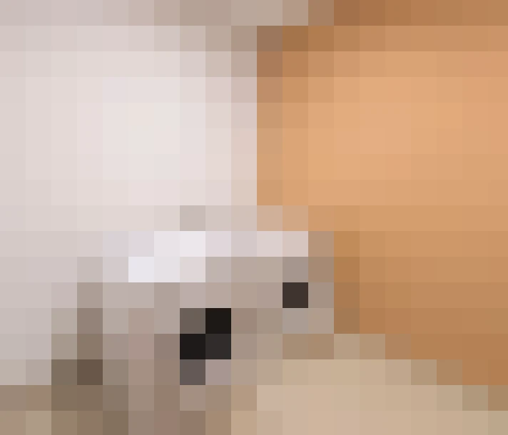  / #13