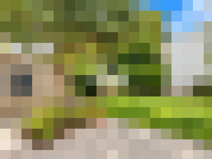  / #17