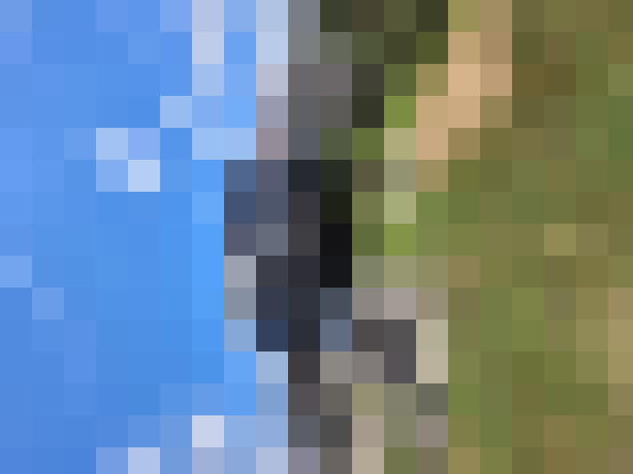  / #7