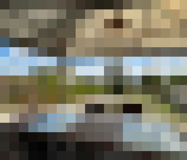  / #15