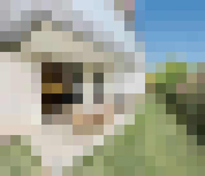  / #17