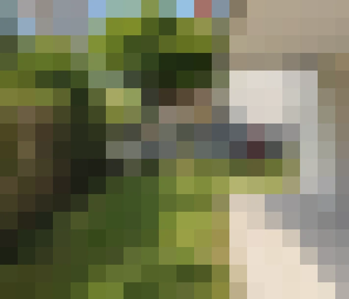  / #16