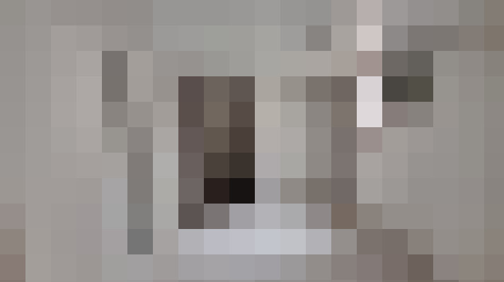  / #24