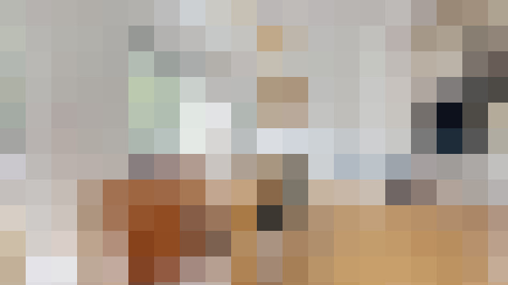  / #11