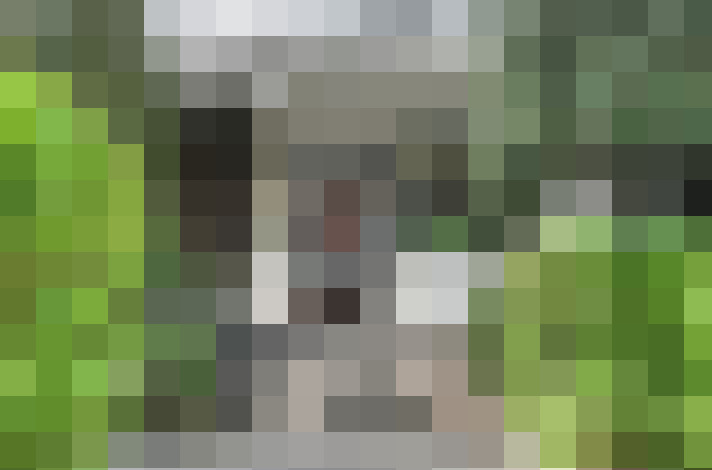  / #14