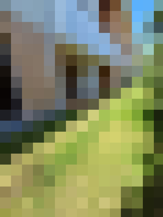  / #7