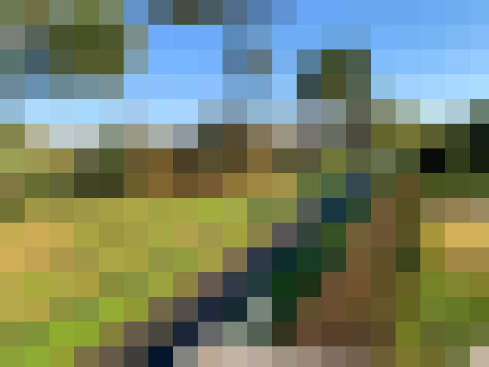  / #8