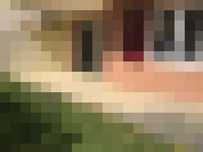  / #14