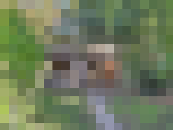  / #8