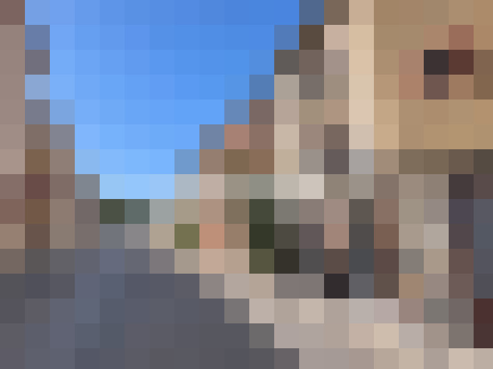  / #7