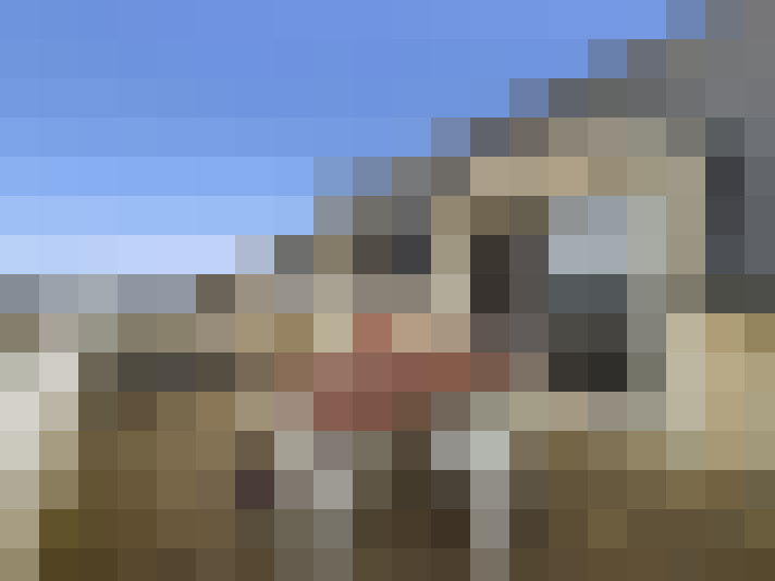  / #8