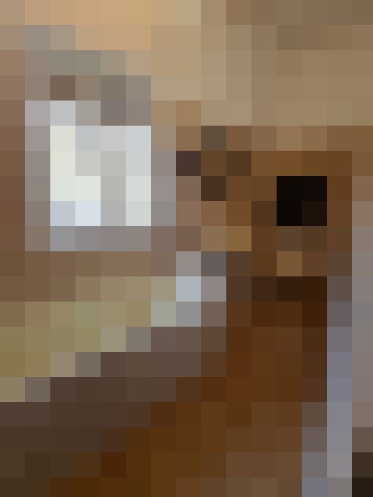 / #19