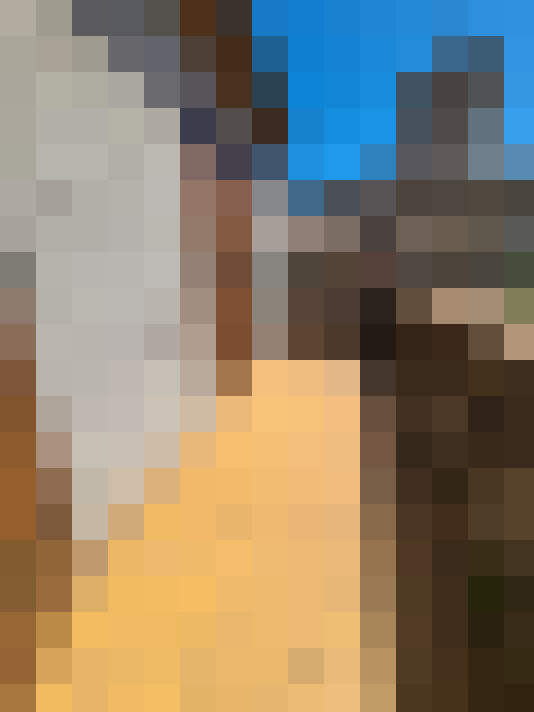  / #14