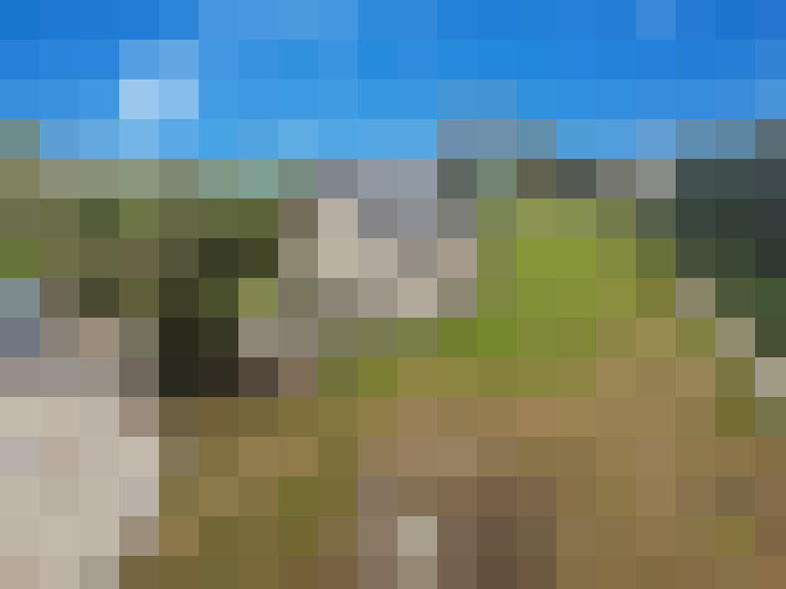  / #16
