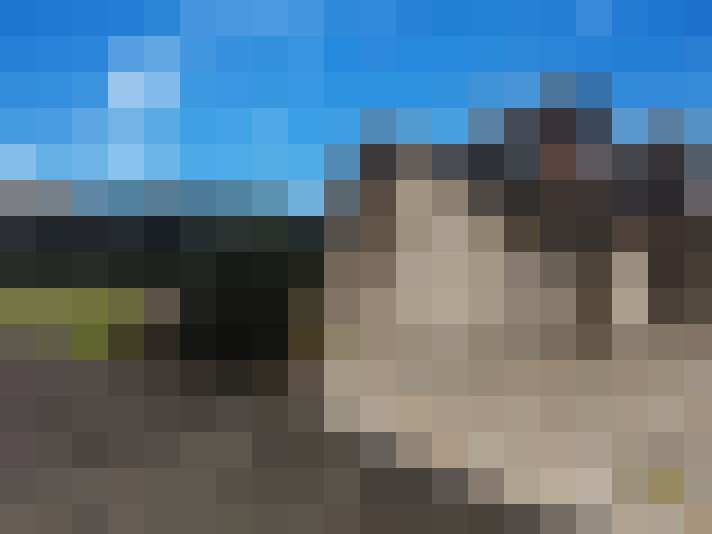  / #14