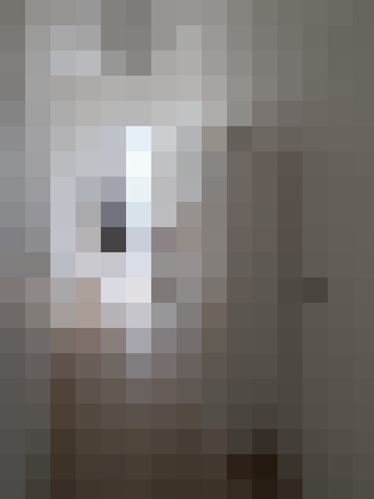  / #17