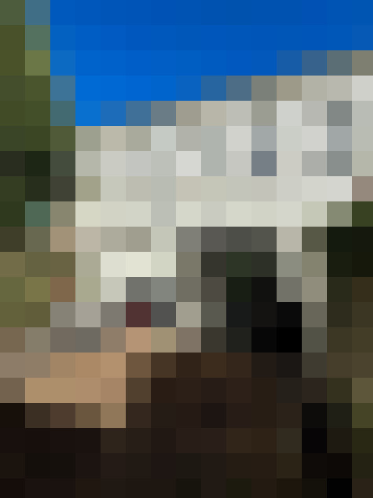  / #7